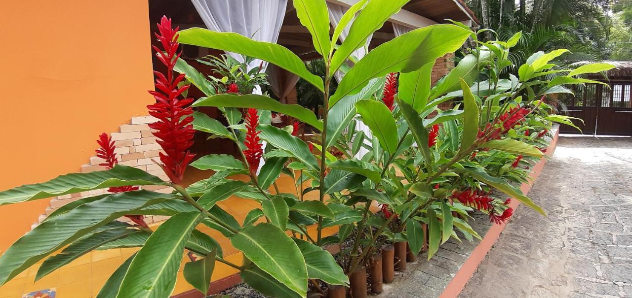 Pousada Canoa Caicara إلهابيلا المظهر الخارجي الصورة